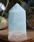 Caribbean calcite tower 1 new