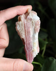 Rough pink tourmaline 4