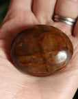 Golden healer pocket stone 14 new