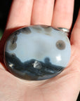 8th vein ocean jasper pocket stone 23 new