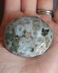 Old stock ocean jasper pocket stone OS9