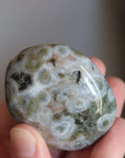 Old stock ocean jasper pocket stone OS9