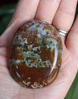 Old stock ocean jasper pocket stone OS10