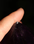 Polished amethyst root 1 new
