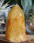 Golden healer tower 3 new