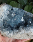 Celestite cluster 1 new