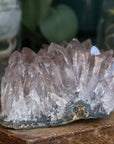 Smoky amethyst cluster 1