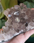 Smoky amethyst cluster 1