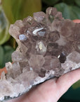 Smoky amethyst cluster 1 new