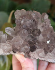 Smoky amethyst cluster 1