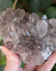 Smoky amethyst cluster 1