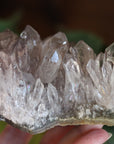 Smoky amethyst cluster 1
