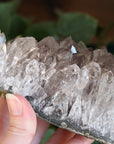 Smoky amethyst cluster 1