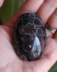 Garnet astrophyllite pocket stone 7 new