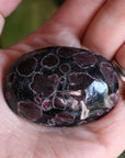 Garnet astrophyllite pocket stone 7 new