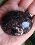 Garnet astrophyllite pocket stone 8 new