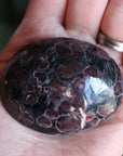 Garnet astrophyllite pocket stone 8