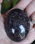 Garnet astrophyllite pocket stone 10 new