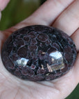 Garnet astrophyllite pocket stone 10 new