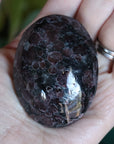 Garnet astrophyllite pocket stone 10