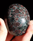 Garnet astrophyllite pocket stone 10