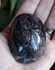 Garnet astrophyllite pocket stone 11 new