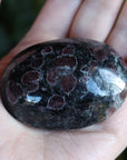 Garnet astrophyllite pocket stone 11