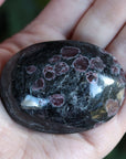Garnet astrophyllite pocket stone 11