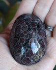 Garnet astrophyllite pocket stone 12 new