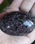 Garnet astrophyllite pocket stone 12