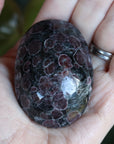 Garnet astrophyllite pocket stone 12