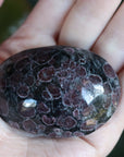 Garnet astrophyllite pocket stone 12
