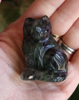 Rainbow fluorite cat 1