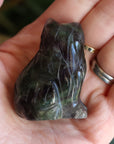 Rainbow fluorite cat 1