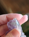 Rainbow fluorite cat 2