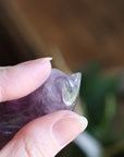 Rainbow fluorite cat 2