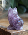 Rainbow fluorite cat 2