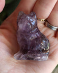 Rainbow fluorite cat 2