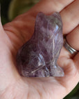 Rainbow fluorite cat 2