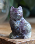 Rainbow fluorite cat 6 new