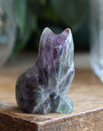 Rainbow fluorite cat 6 new