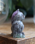 Rainbow fluorite cat 6 new