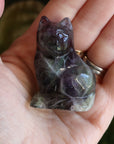 Rainbow fluorite cat 6 new