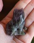 Rainbow fluorite cat 6 new