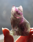 Rainbow fluorite cat 6 new