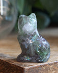 Rainbow fluorite cat 9 new