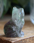 Rainbow fluorite cat 9 new