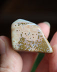 Ocean jasper tumbled stone 2 new