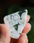 Ocean jasper tumbled stone 3 new