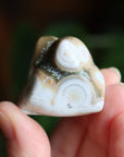 Ocean jasper tumbled stone 5 new